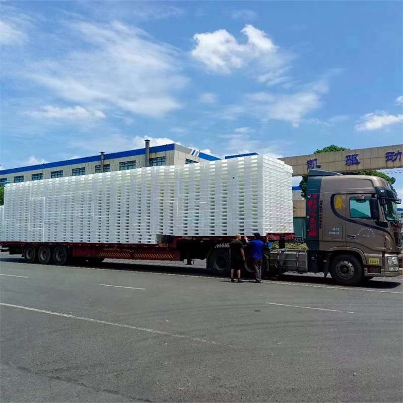 策勒县黄埔区物流：多元服务与高效运输线路探秘