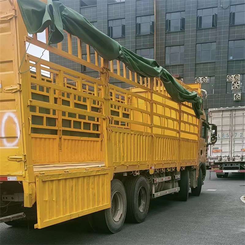策勒县吉安市物流：多元服务与高效运输线路探秘