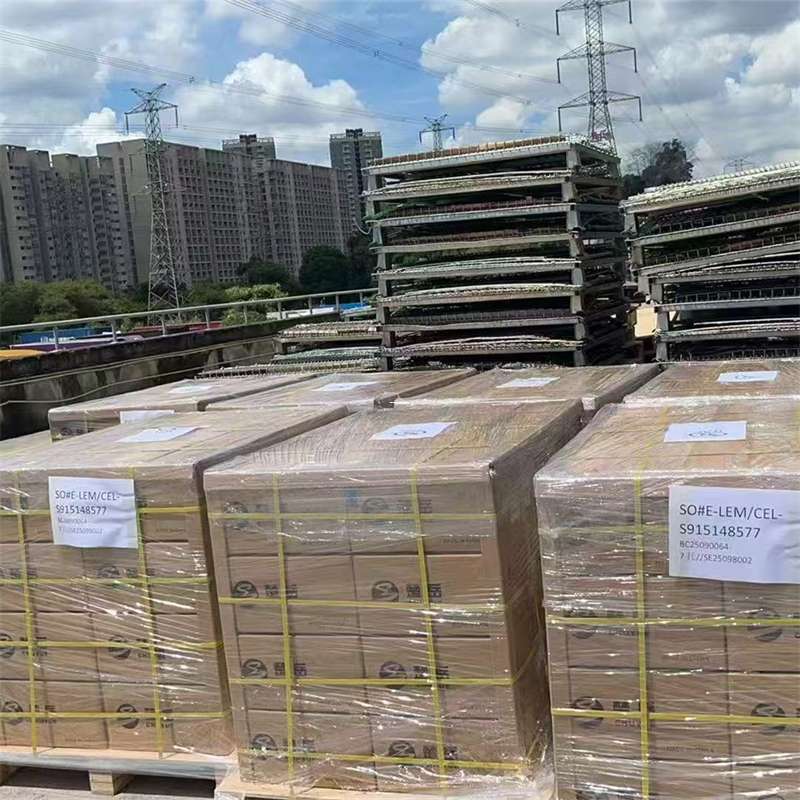 策勒县探索高陵区进仓物流专线运输的多元世界